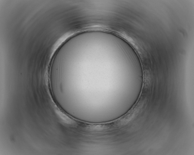 X0000112051474200908181126