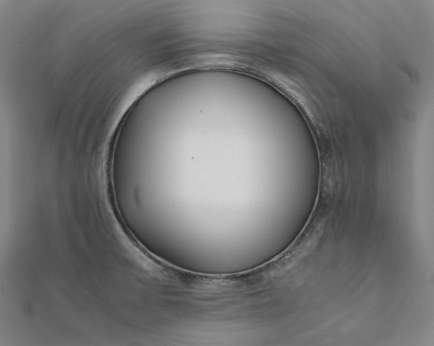 X0000112051475200908181126