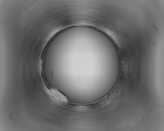 X0000112051476200908181126