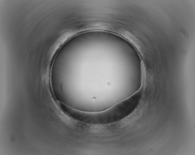 X0000112051477200908181126