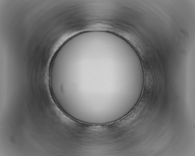 X0000112051478200908181126