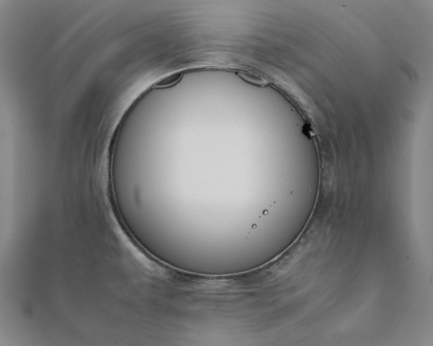 X0000112051479200908181126