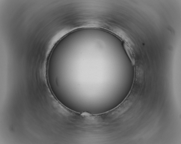 X0000112051480200908181126