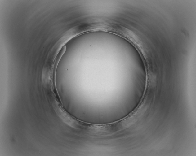 X0000112051481200908181126