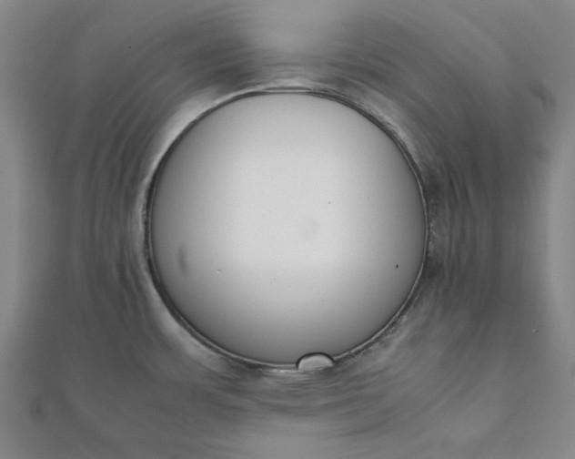 X0000112051483200908181126