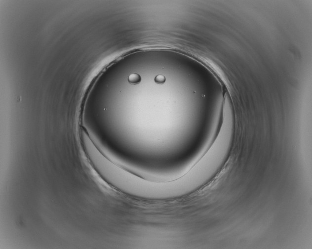 X0000112051485200908181126