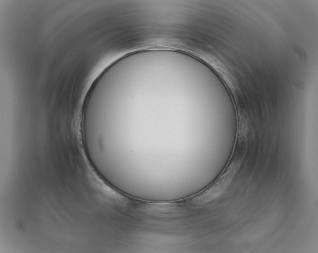 X0000112051486200908181126