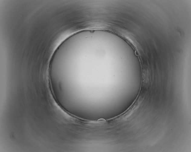 X0000112051487200908181126