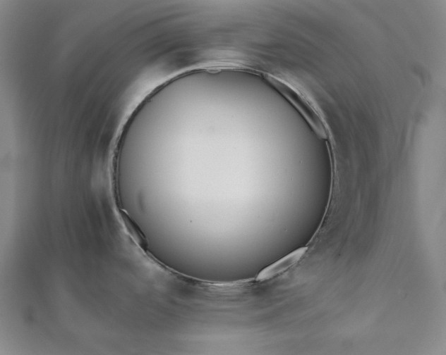 X0000112051488200908181126