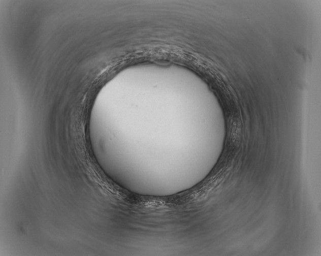 X0000112051489200908181125