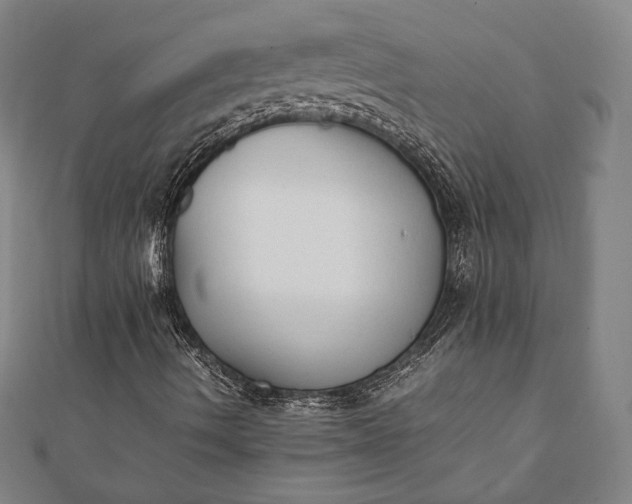 X0000112051490200908181125