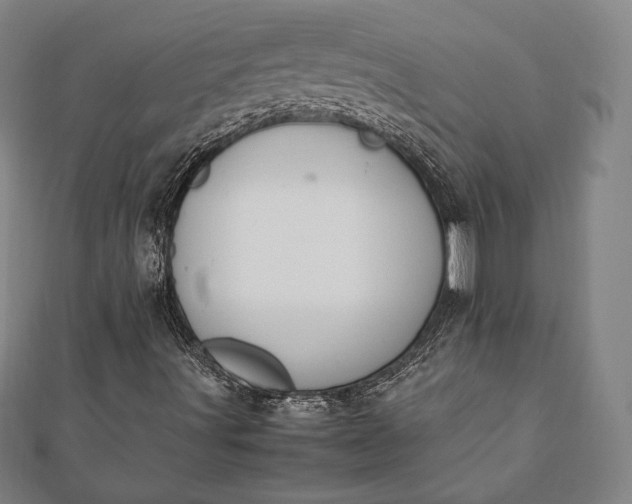 X0000112051491200908181125