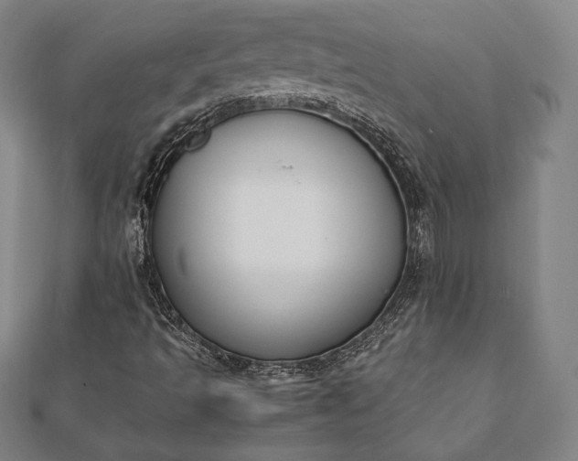 X0000112051493200908181125