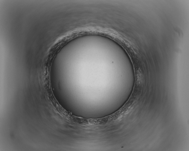 X0000112051494200908181125