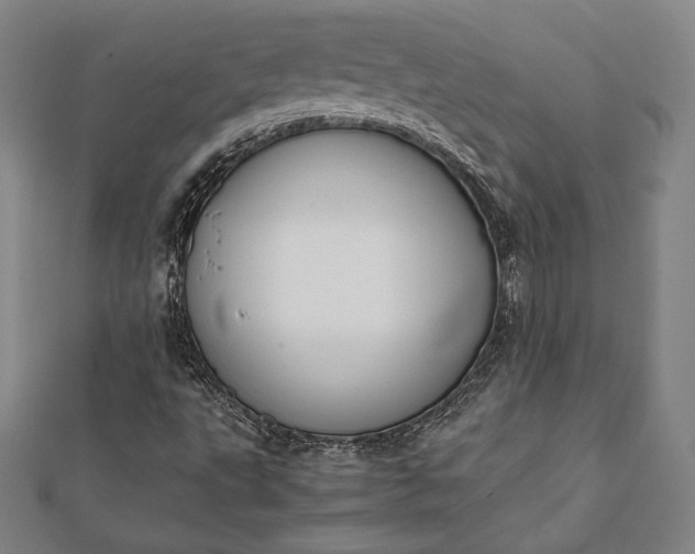 X0000112051495200908181125