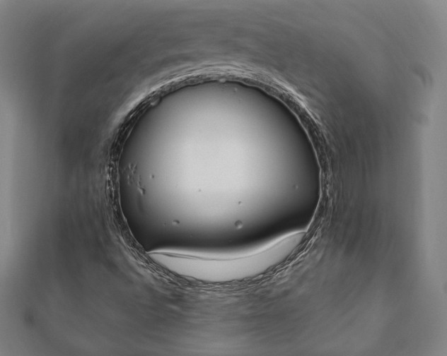 X0000112051496200908181125