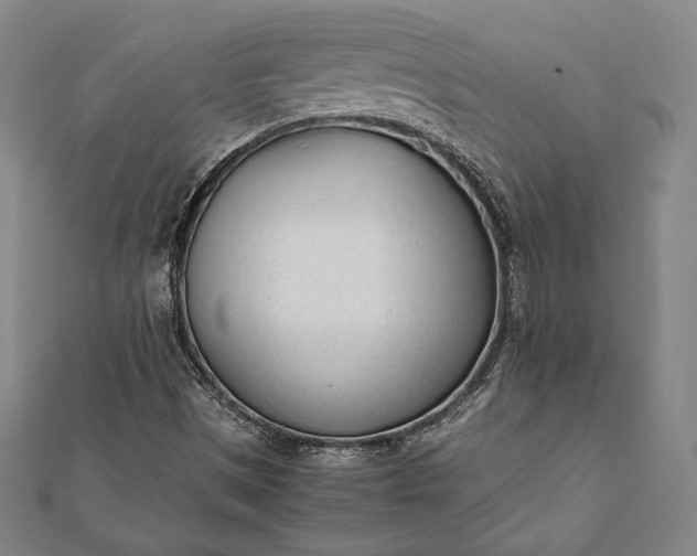 X0000112051497200908181125