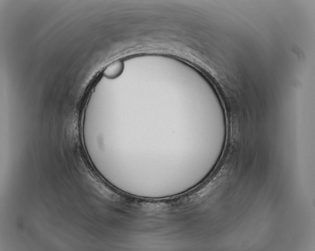 X0000112051498200908181125