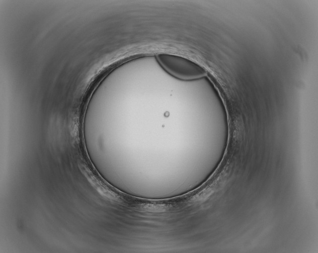 X0000112051499200908181125