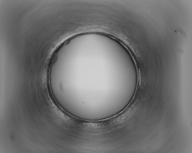 X0000112051500200908181125