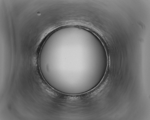 X0000112051501200908181125