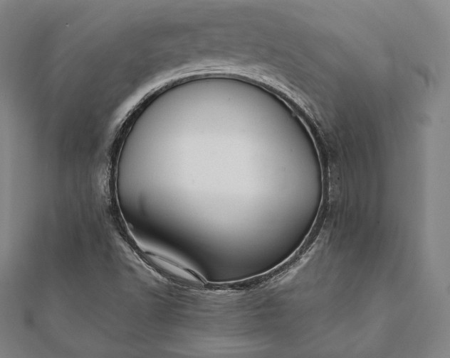 X0000112051502200908181125