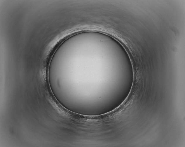 X0000112051503200908181126