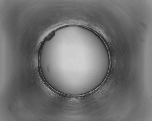 X0000112051504200908181126