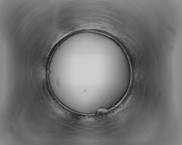 X0000112051505200908181126