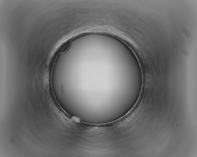 X0000112051506200908181126