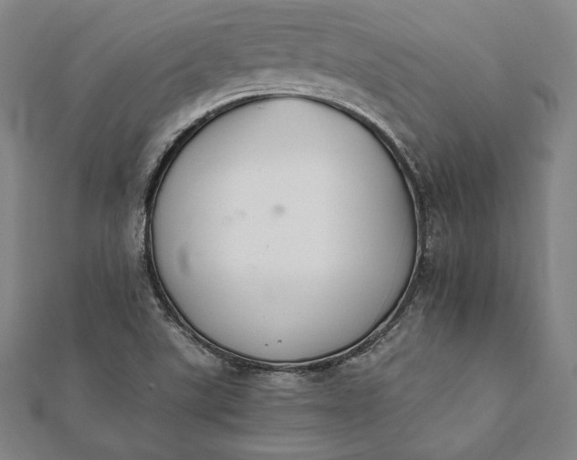 X0000112051507200908181126