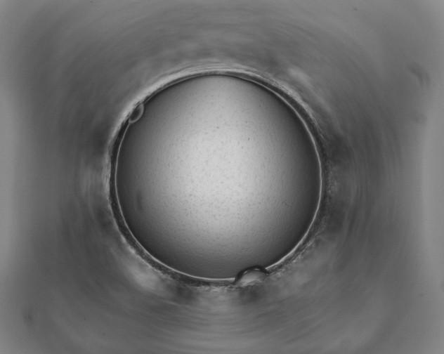 X0000112051508200908181126