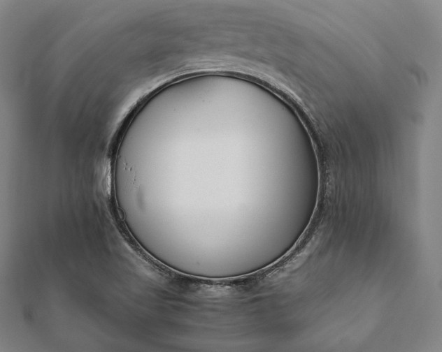 X0000112051509200908181126