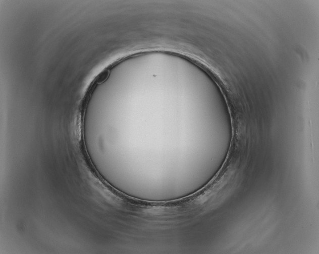 X0000112051510200908181126