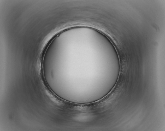 X0000112051511200908181126