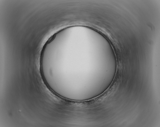 X0000112051512200908181126