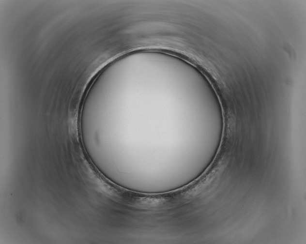 X0000112051513200908181126