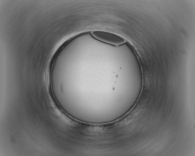 X0000112051515200908181126