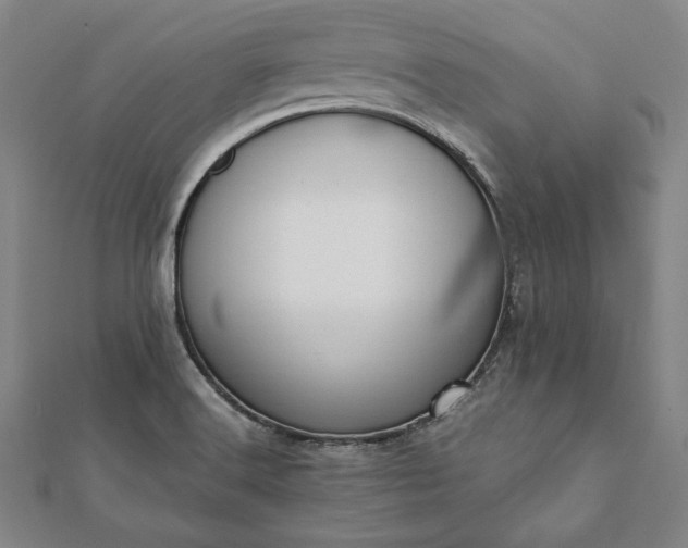 X0000112051516200908181126