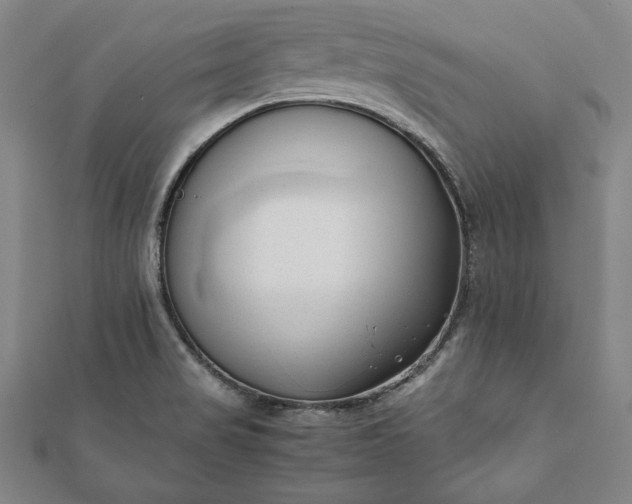 X0000112051517200908181126