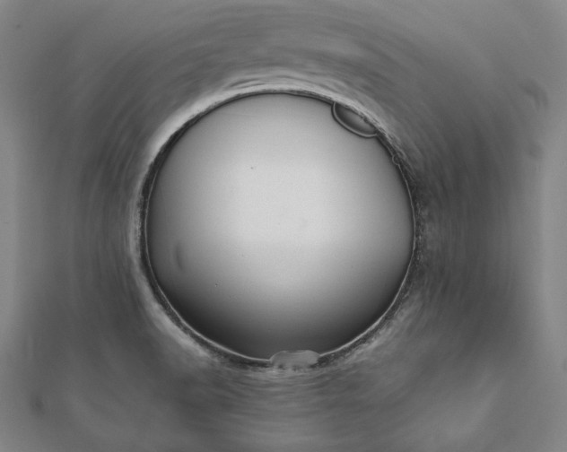 X0000112051518200908181126