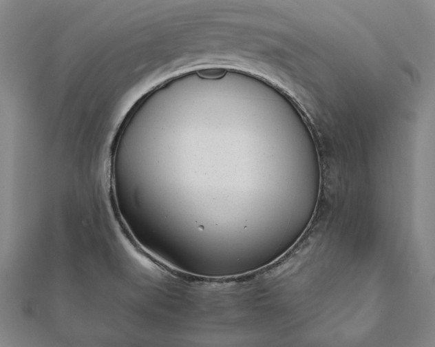 X0000112051519200908181126