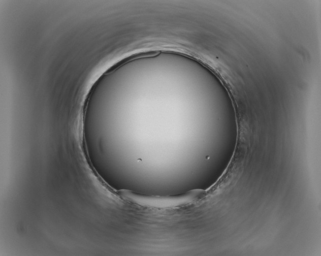 X0000112051520200908181126