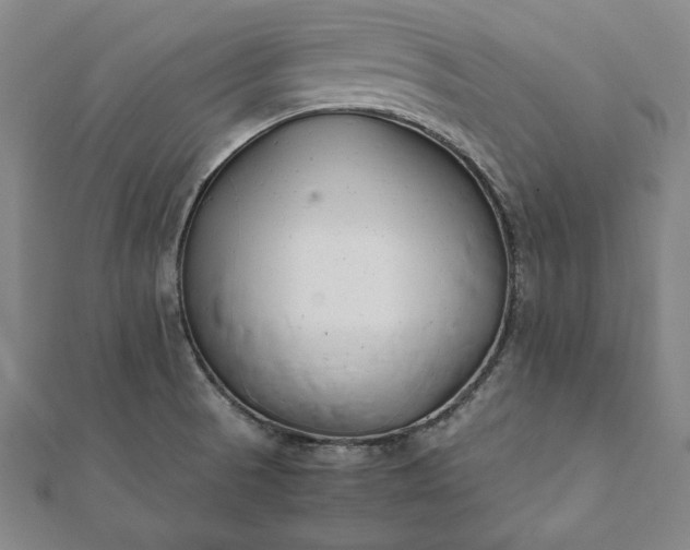 X0000112051521200908181126