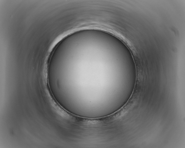 X0000112051522200908181126