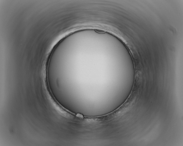 X0000112051523200908181126