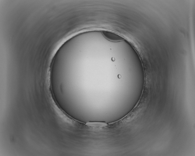 X0000112051524200908181126