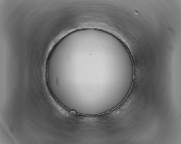 X0000112051525200908181126