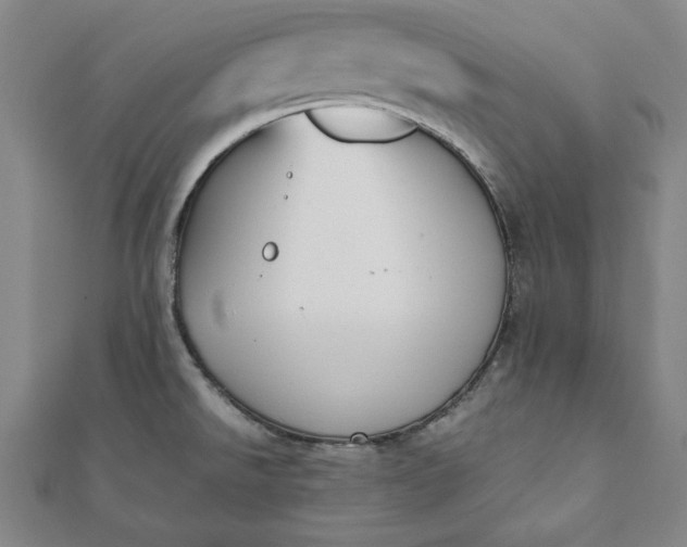 X0000112051526200908181126