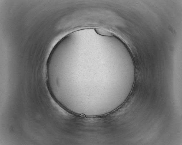 X0000112051527200908181126